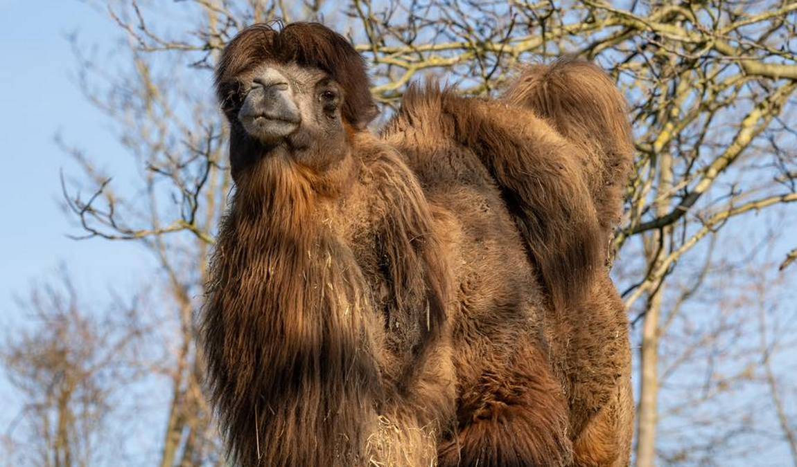 zoo schmiding photo 1