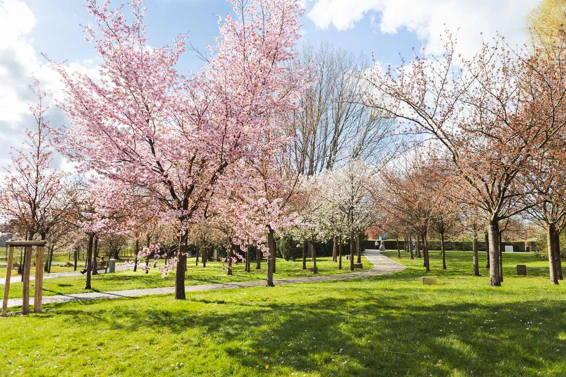 the gardens of the world photo 3