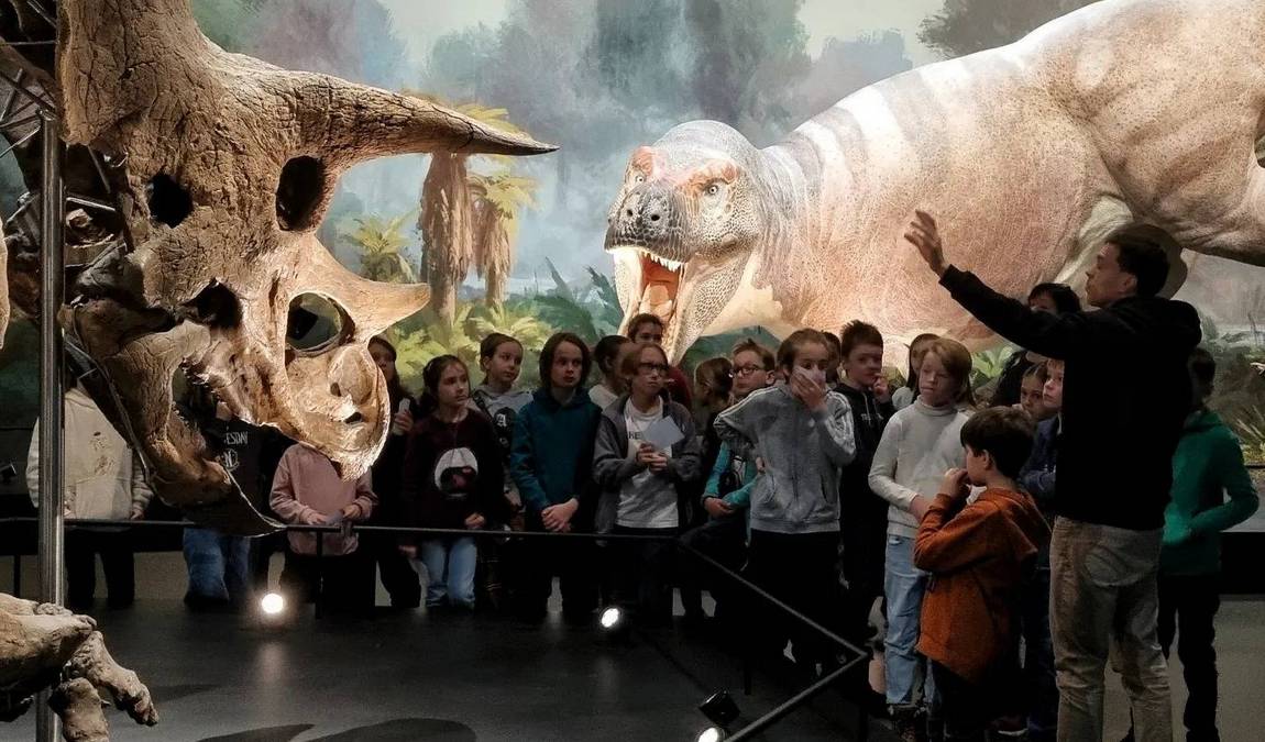 dinosauria museum photo 2