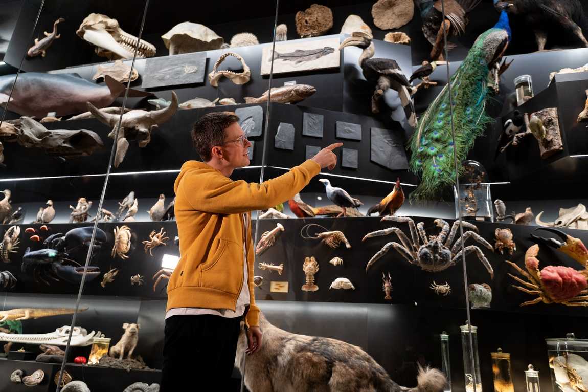 senckenberg natural history museum photo 1