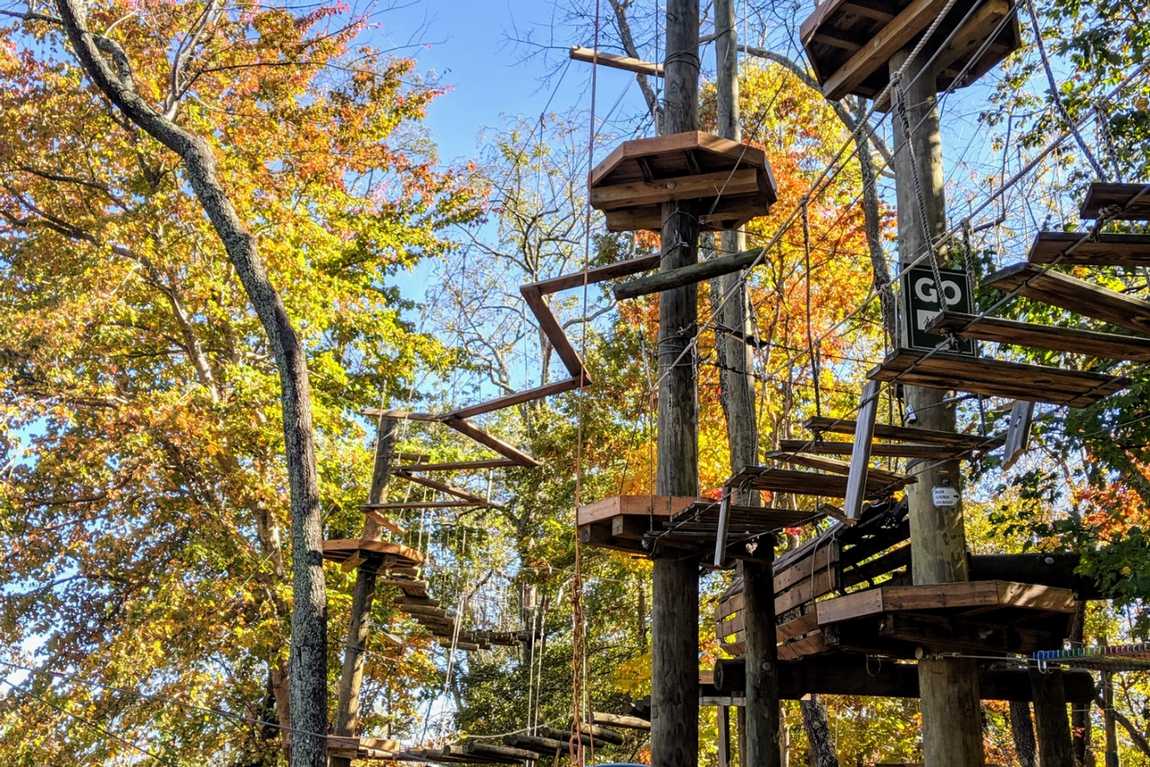 asheville treetops adventure park photo 2