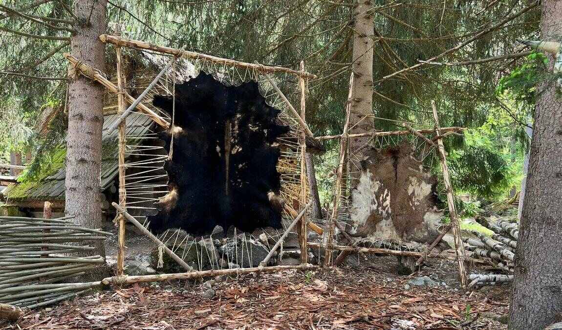 village ettsi photo 2