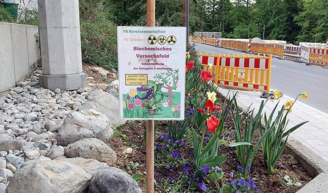 botanical garden of the university of ulm photo 7