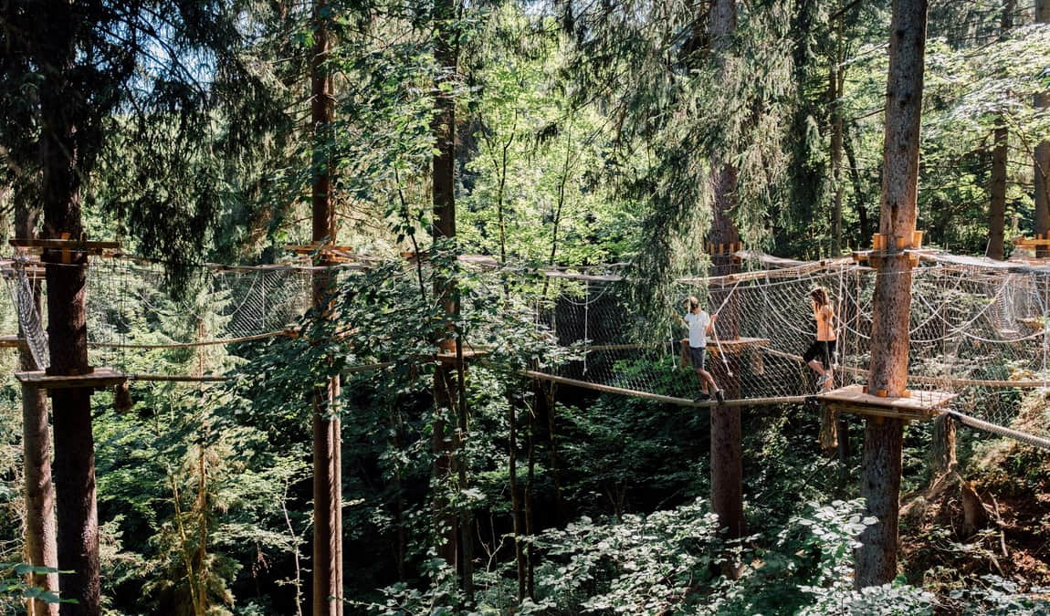 jodys baumparcours photo 4