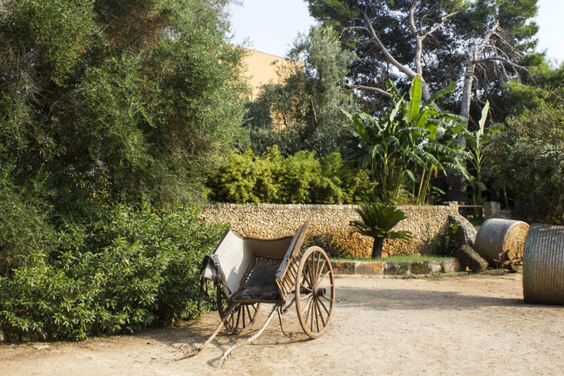 rancho grande mallorca photo 3