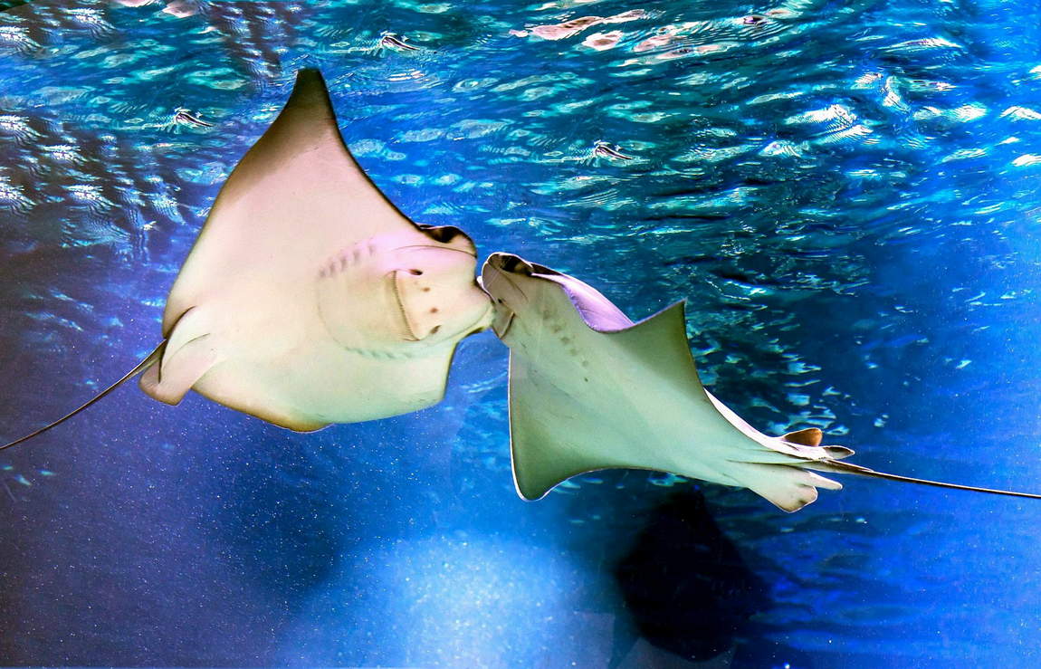 house of the sea photo 7