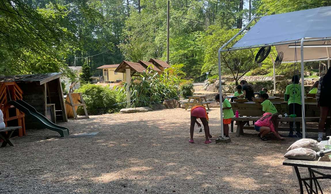 blue diamond gemstone panning photo 5