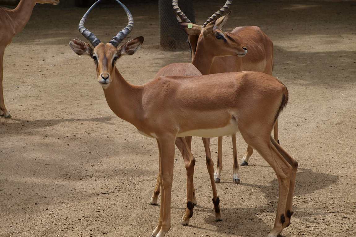 reserva park photo 3