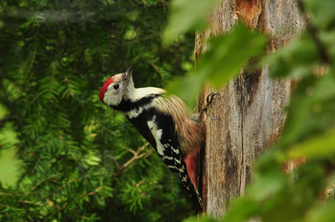 eifel national park photo 3