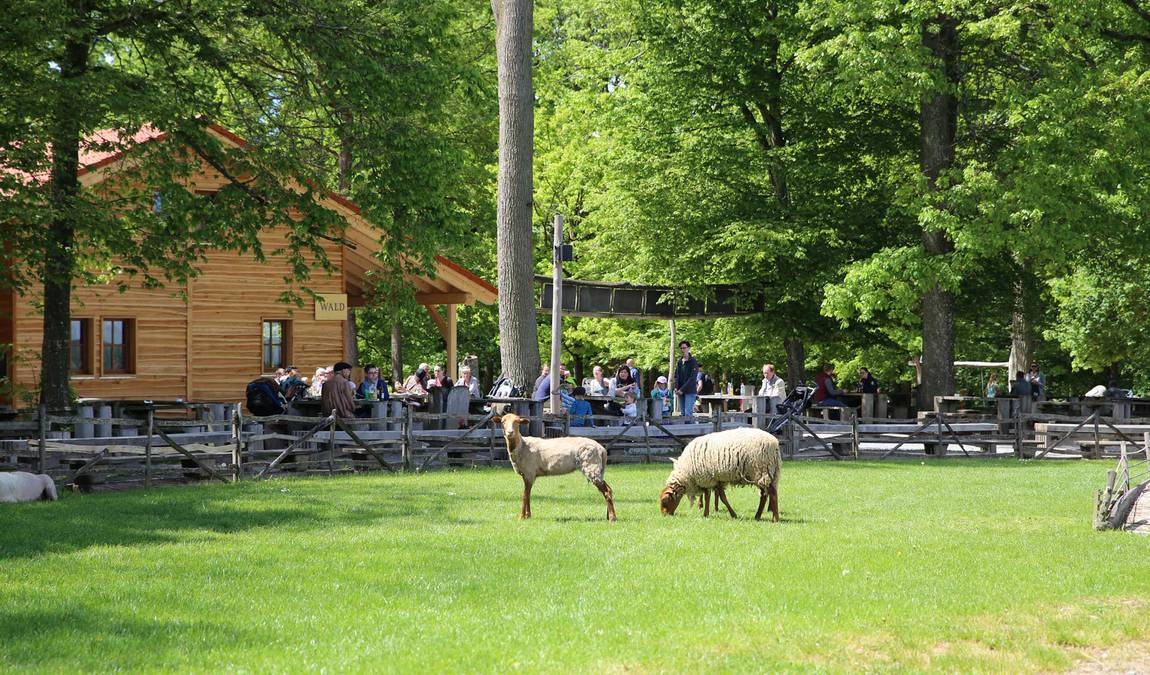 bad mergentheim wild park photo 1