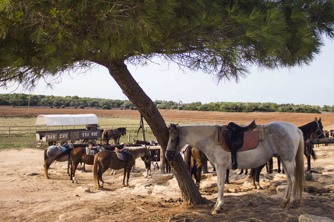 rancho grande mallorca photo 1