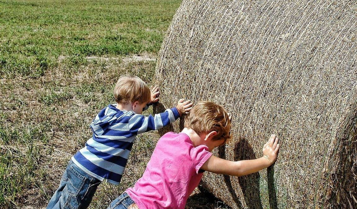 la granja escuela el botero photo 5