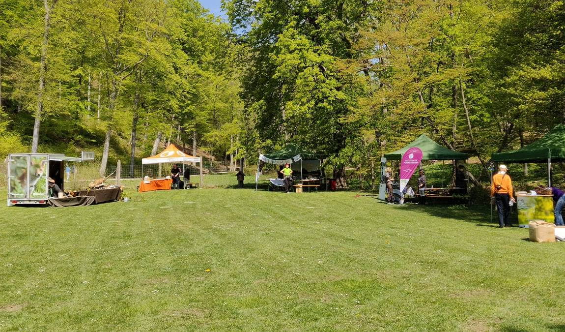 nature park sparbach photo 6