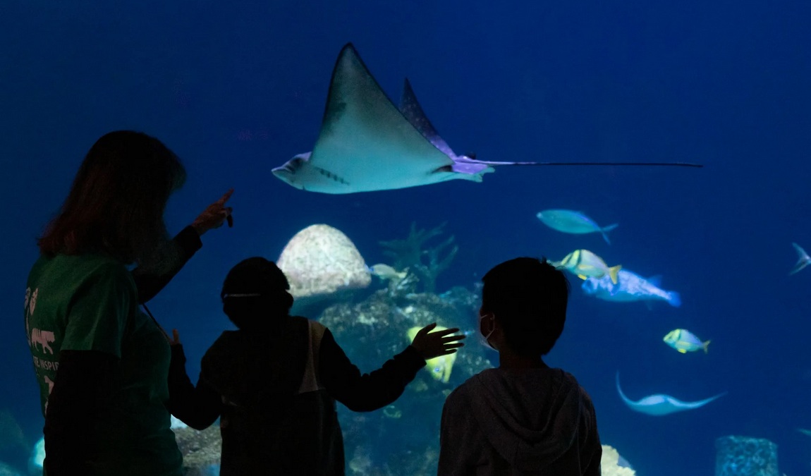 greensboro science center photo 3