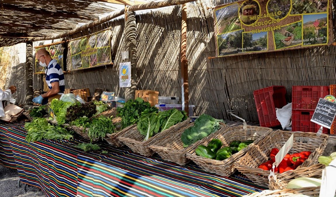 ecological farm finca el carretón photo 4