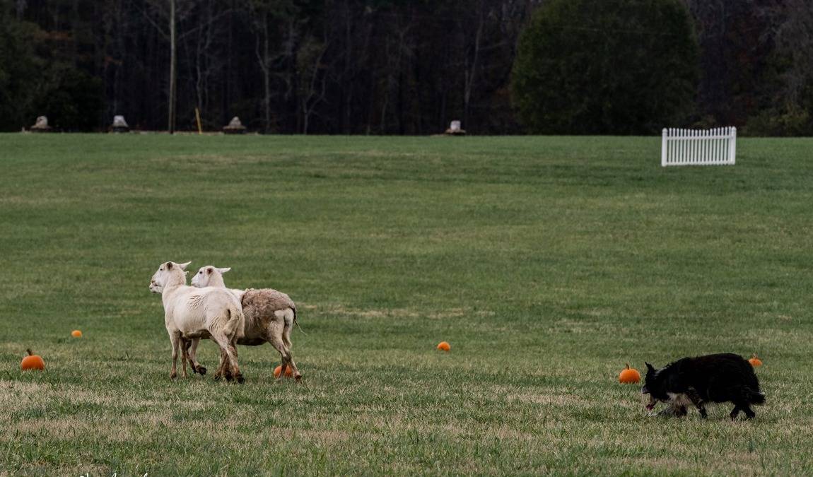 rural hill nature preserve photo 2
