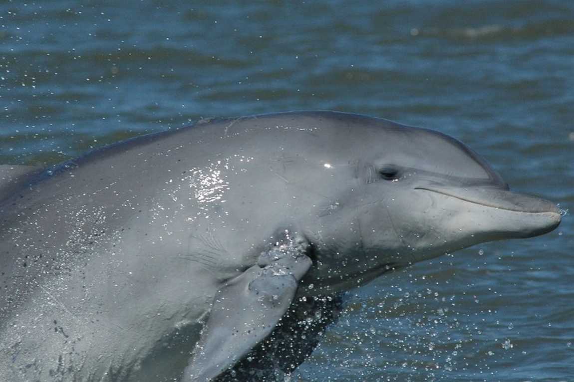 duisburg zoo photo 6