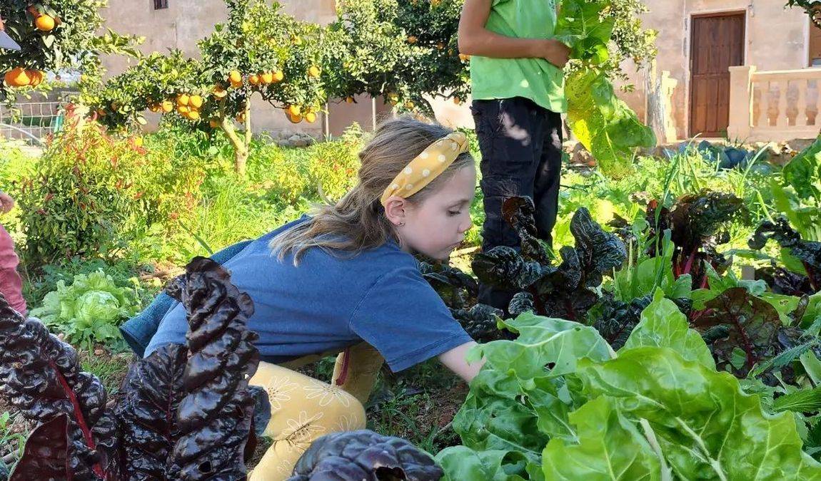 finca s'illa photo 2