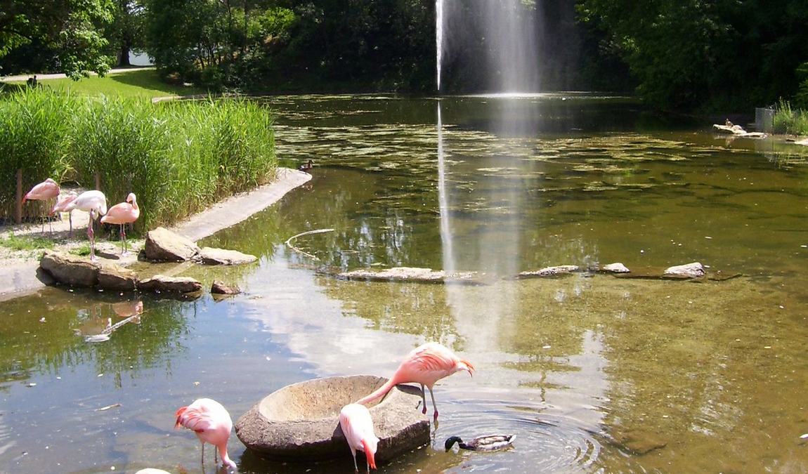 killesberg park photo 6