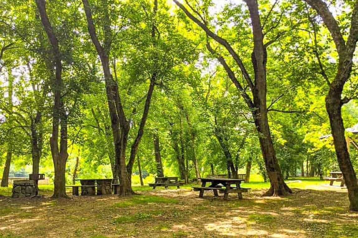 french broad river park photo 4