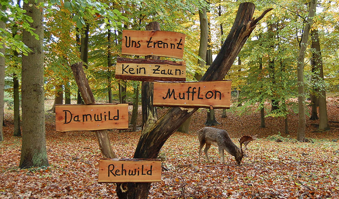 tiergehege hasseldieksdamm photo 7