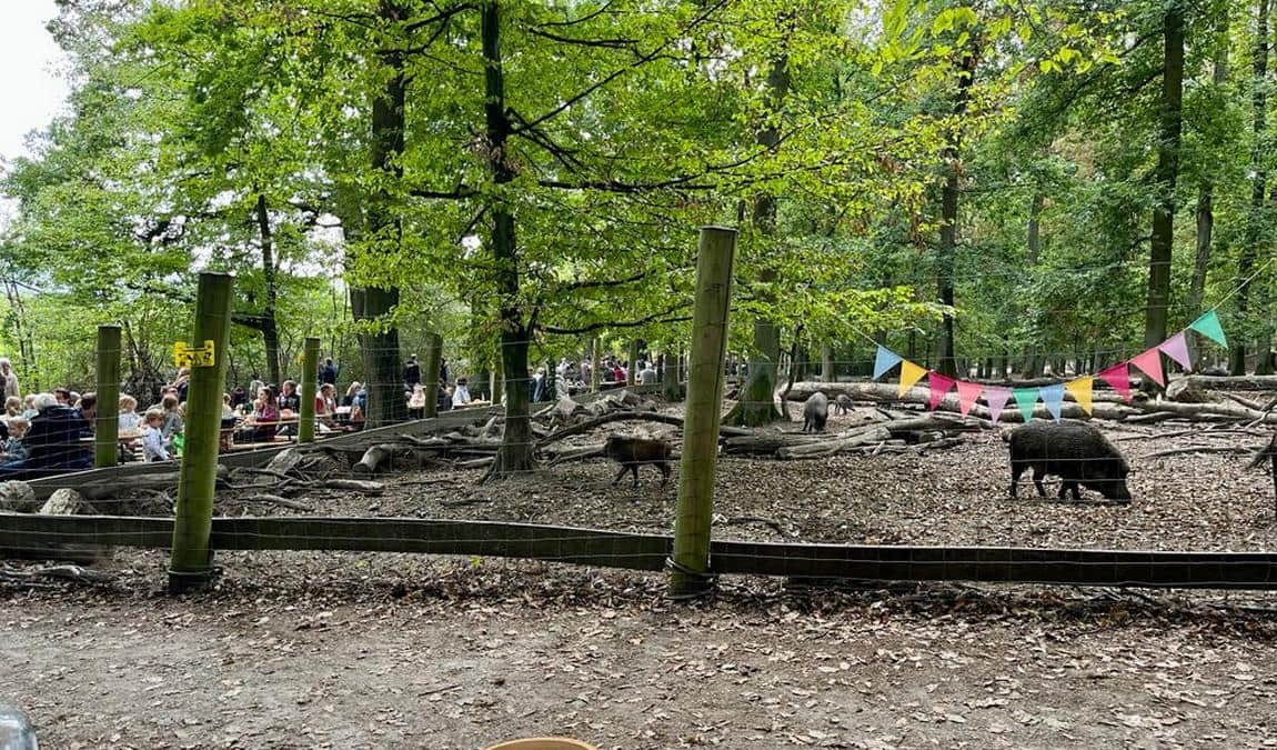 wildpark retter hofheim photo 1