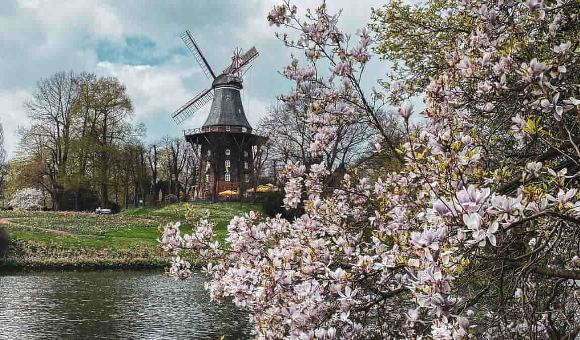 wallanlagen park photo 4