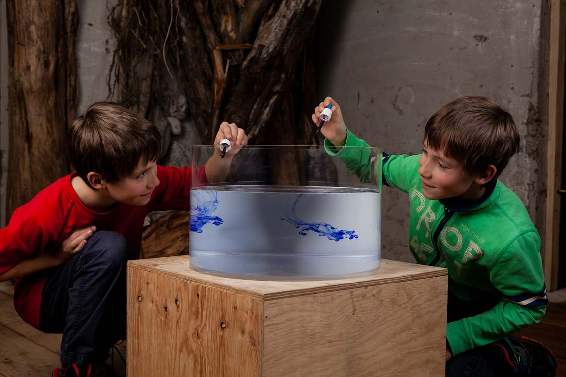 hexenwasser adventure park photo 4