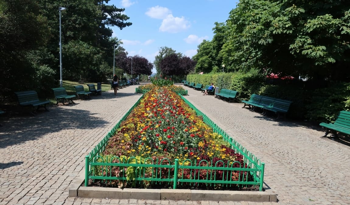 riegrovy sady photo 2