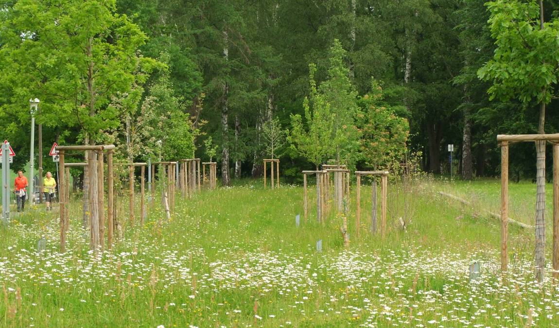 roehrensee animal park photo 3