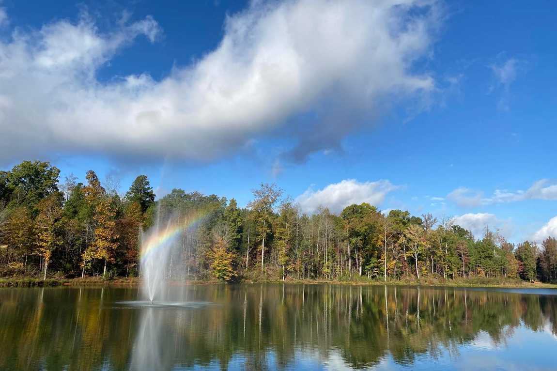hall family farm photo 6