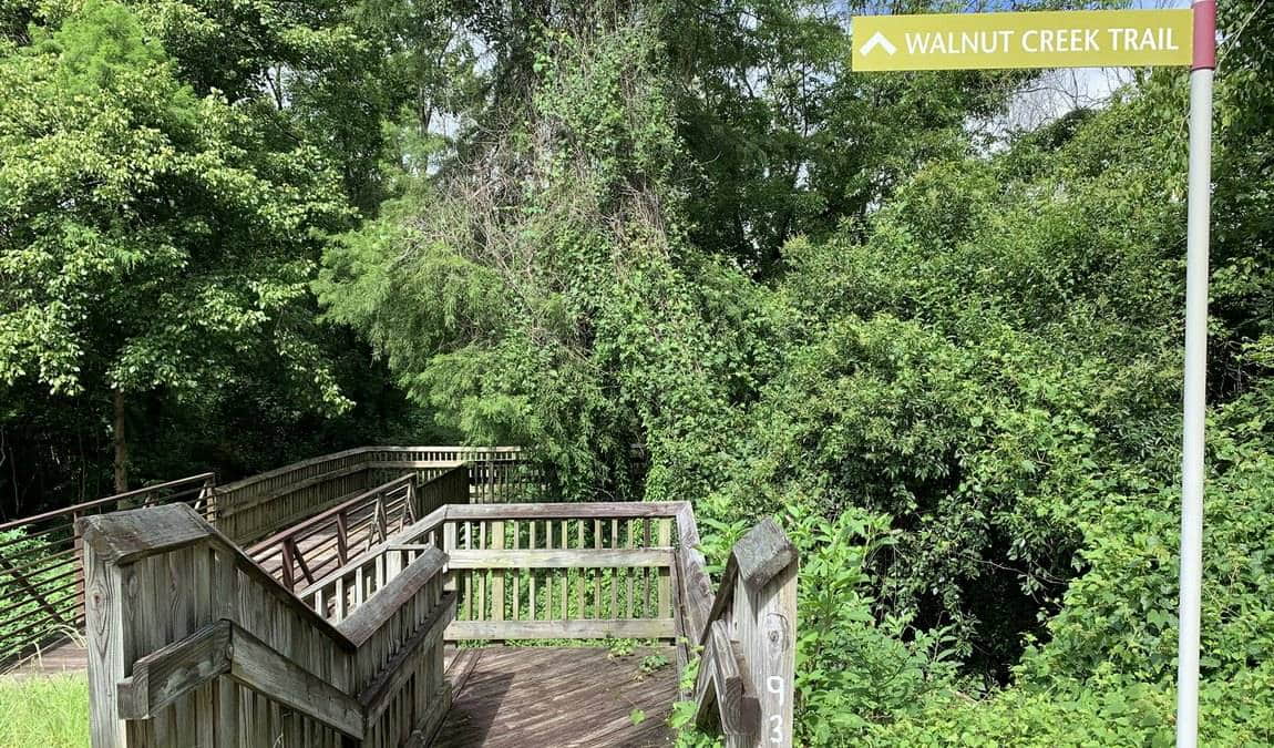 walnut creek wetland park photo 5