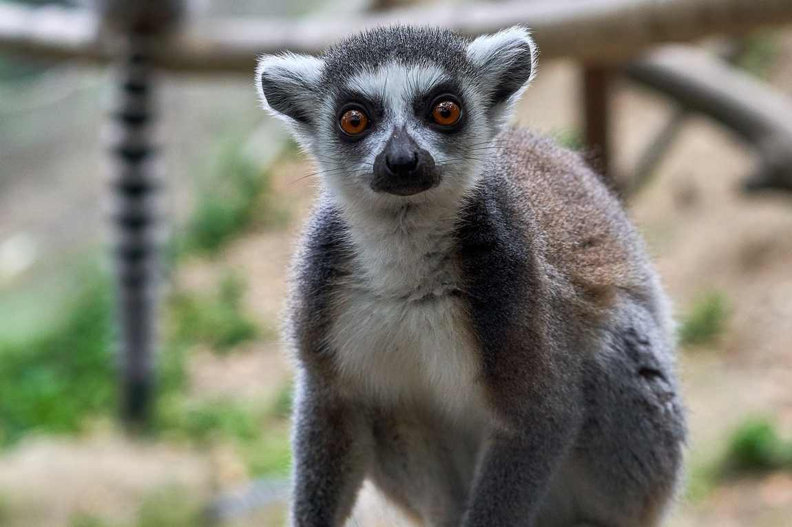 selwo aventura photo 2