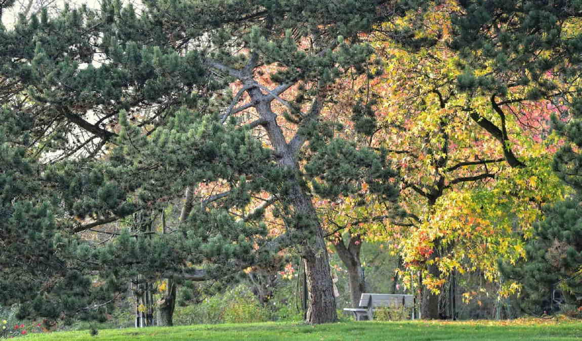 leisure park fredenbaum photo 5