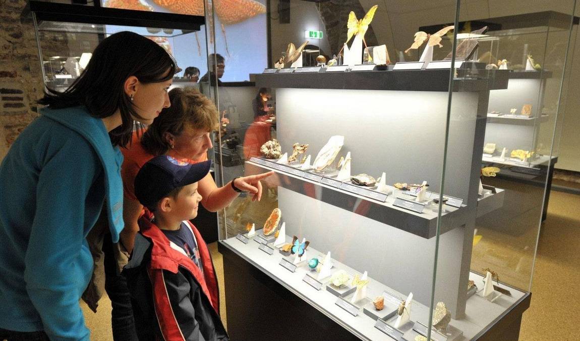 terra mineralia photo 1