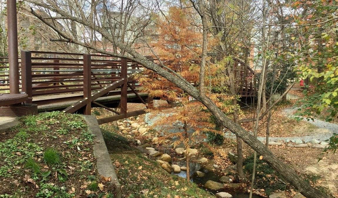 durham central park photo 1