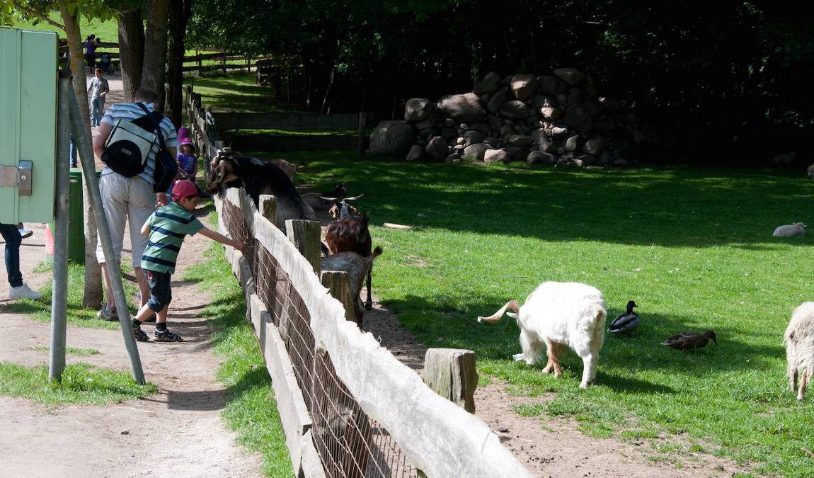 wildpark schwentinental photo 1