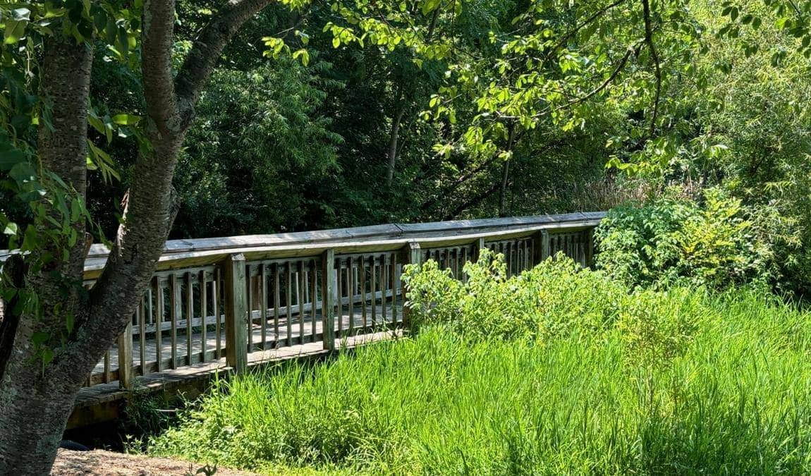 roosevelt wilson park photo 2