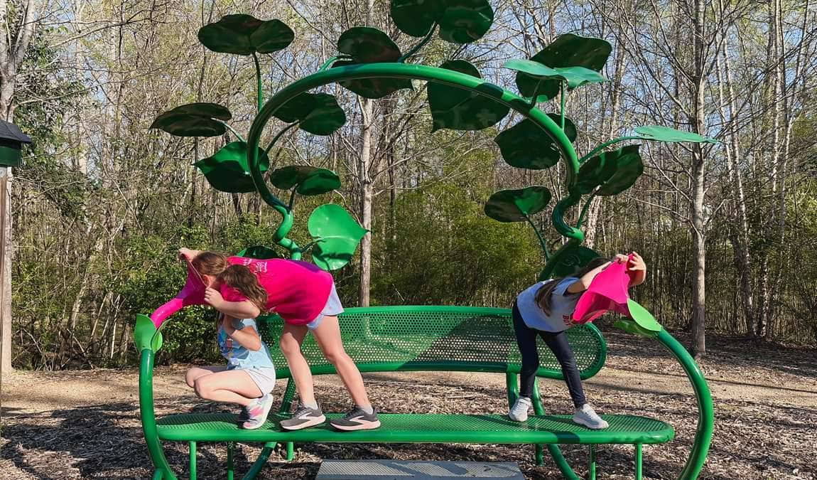 fountain rock park photo 1