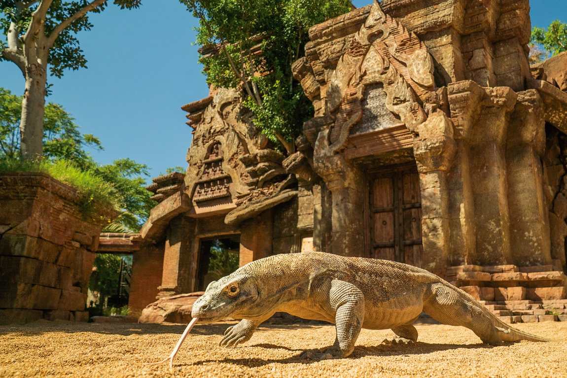 bioparc fuengirola photo 1