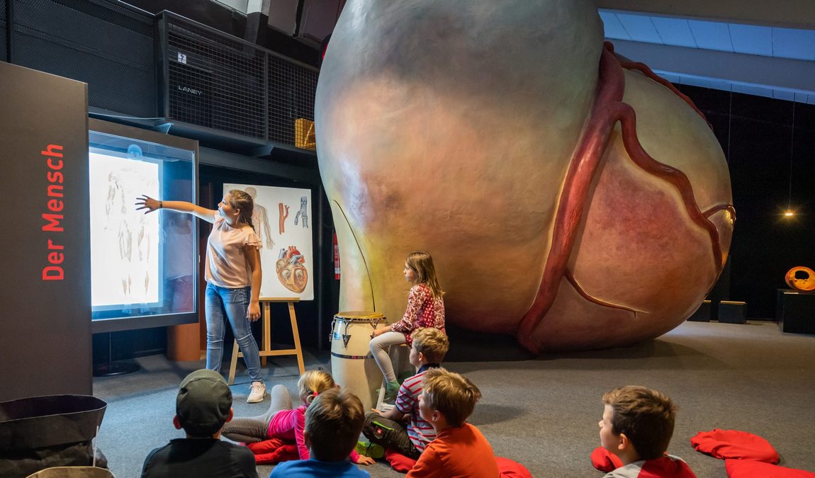 kinder-akademie fulda photo 4