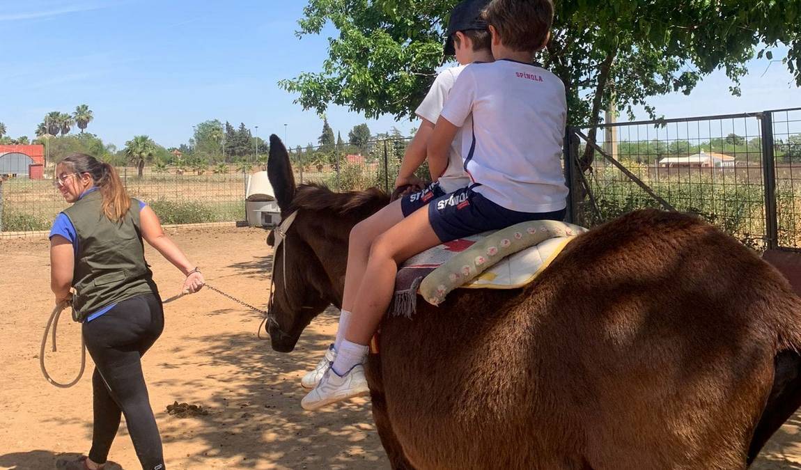 finca albahaca photo 1