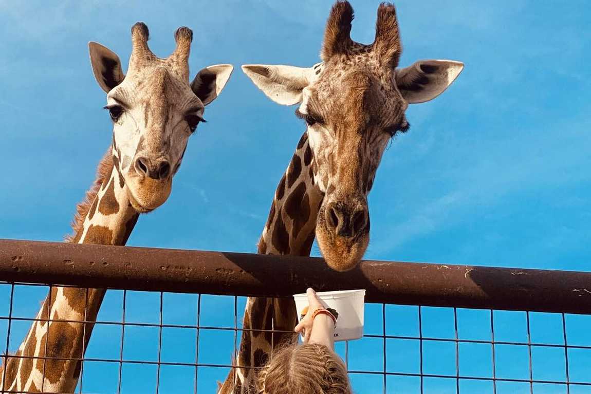 lazy 5 ranch photo 1