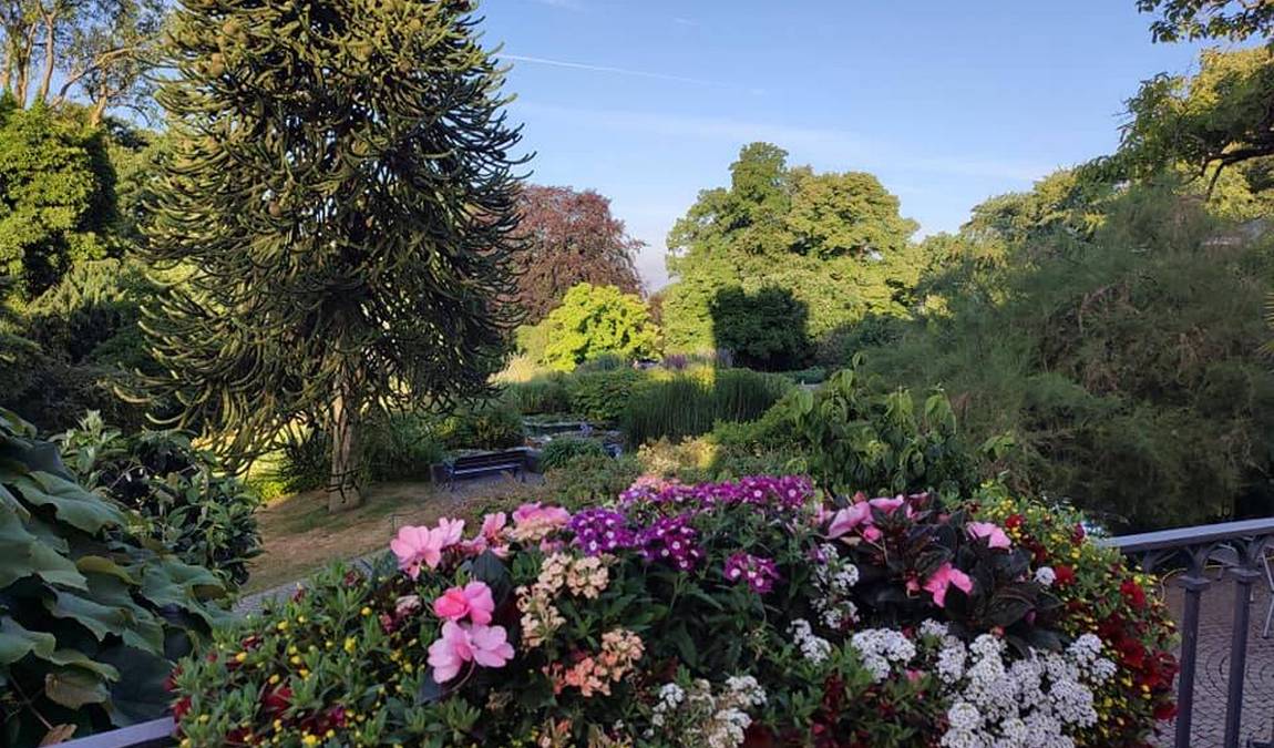 botanical garden photo 2