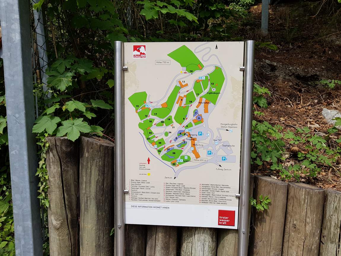 alpenzoo innsbruck photo 5