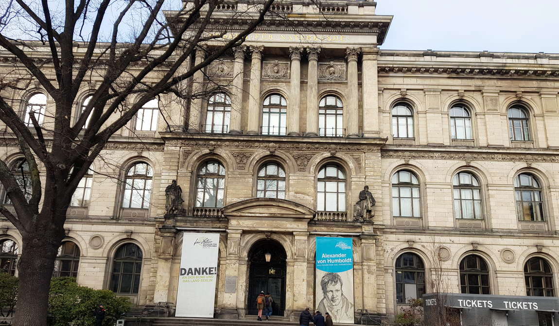 natural history museum photo 1