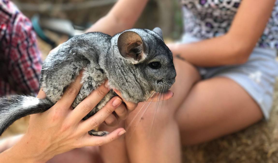 granja aventura park photo 5