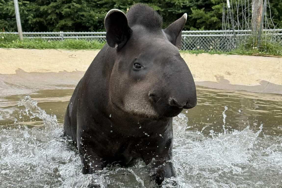 zootastic park photo 2