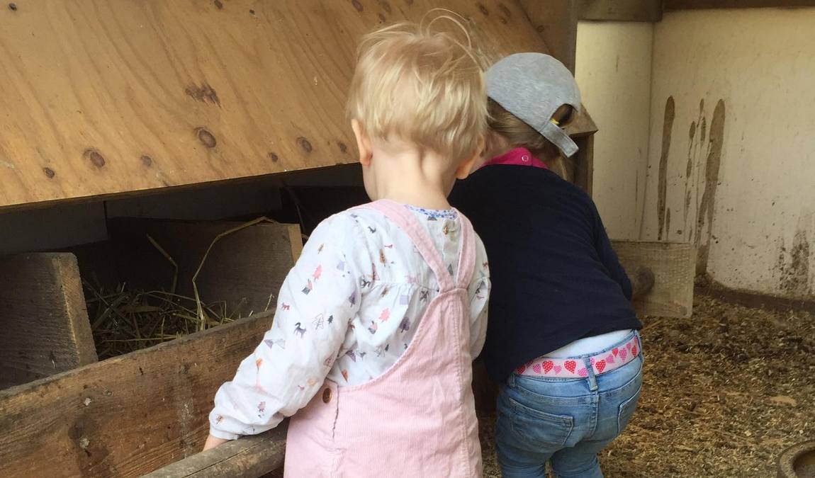 rolfs streichel zoo photo 3