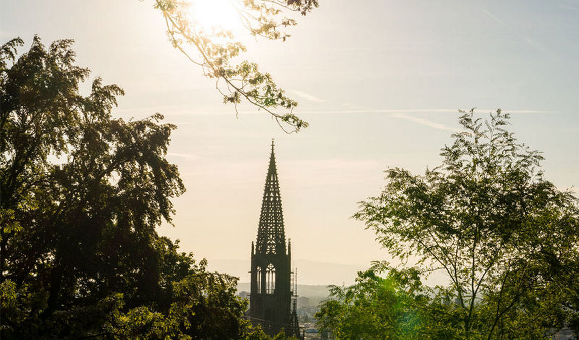 freiburg cathedral photo 5